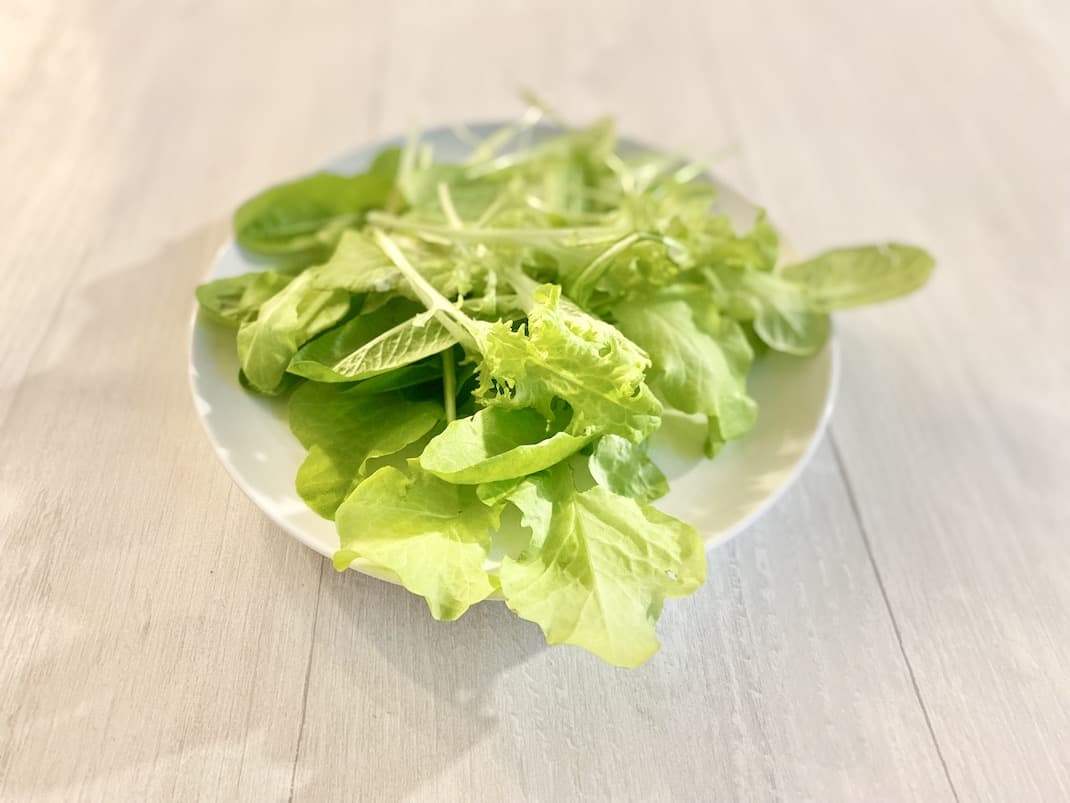 How To Grow Lettuce Indoors All Year Round