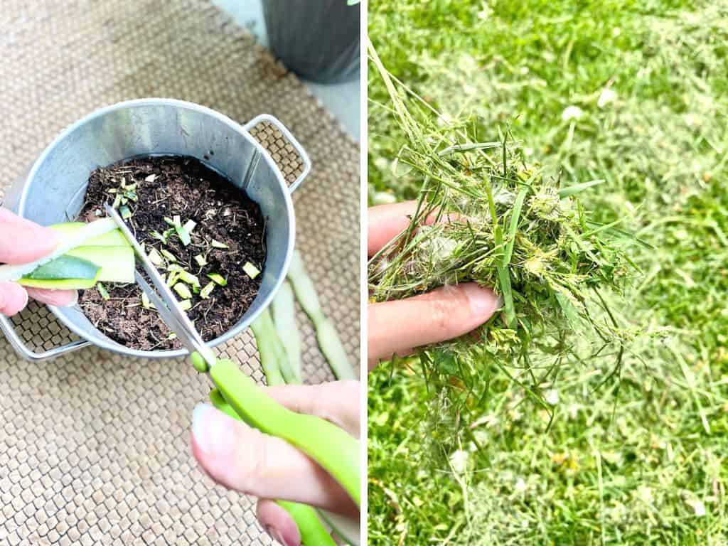 Image showcasing Easy way to Apartment Composting